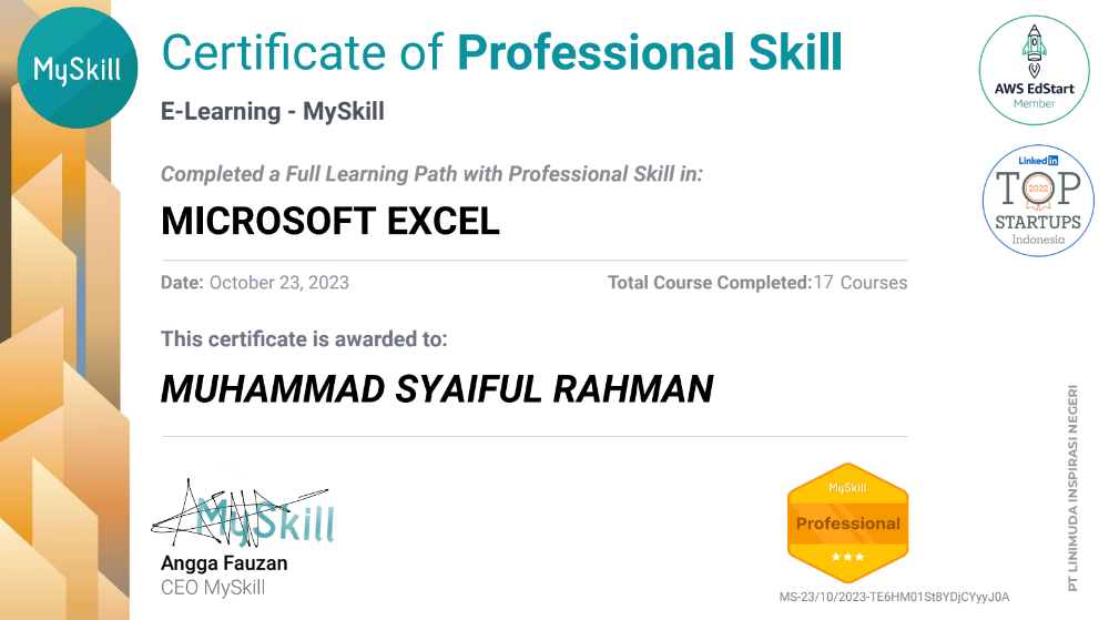 Excel MySkill